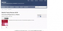 2018年商標(biāo)國際注冊(cè)馬德里體系再創(chuàng)新紀(jì)錄