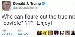 特朗普臆造詞“COVFEFE”商標被無效，商評委：不良影響！