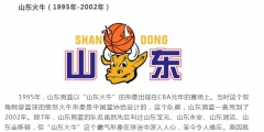 山東隊LOGO變遷：“憤怒火?！钡健巴跽邩s耀”