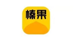 美團“榛果民宿”品牌更名，商標申請屢遭駁回！