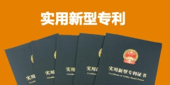 可授予專利權的有哪些