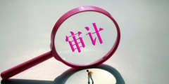 需要做稅審報告的企業(審計一般什么公司需要做)