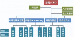 常見的組織架構類型有哪幾種(企業矩陣式組織結構圖)