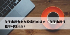 關于審理專利糾紛案件的規定（ 關于審理侵犯專利權糾紛）