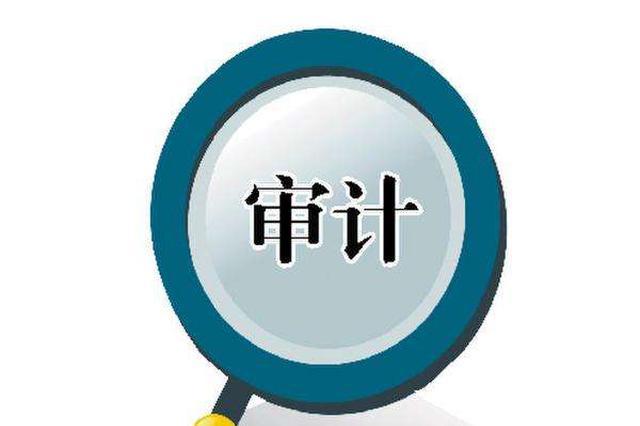 稅務審計與財務審計有什么區別（稅務審計與財務審計有什么區別呢）