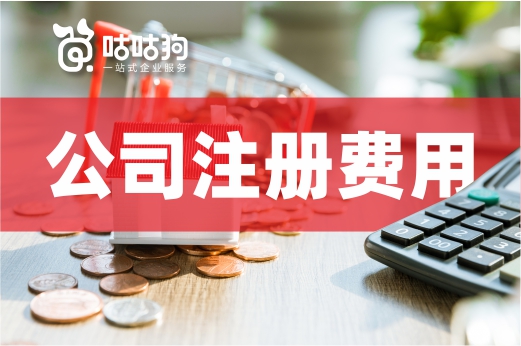 注冊公司費用一般都有哪些（注冊公司費用一般都有哪些科目）