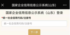 工商信息公示（企業信用信息公示）