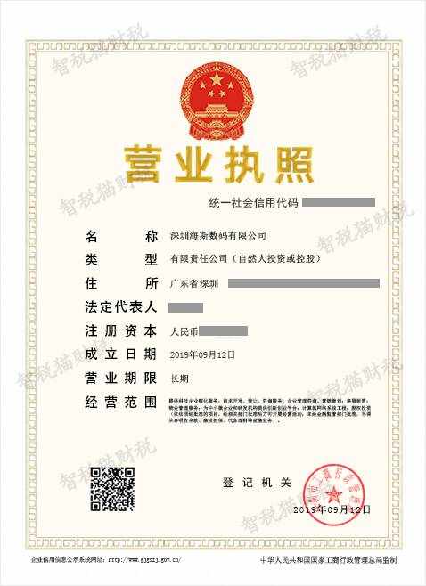數碼科技公司怎么注冊（數碼科技公司簡介怎么寫 范文）