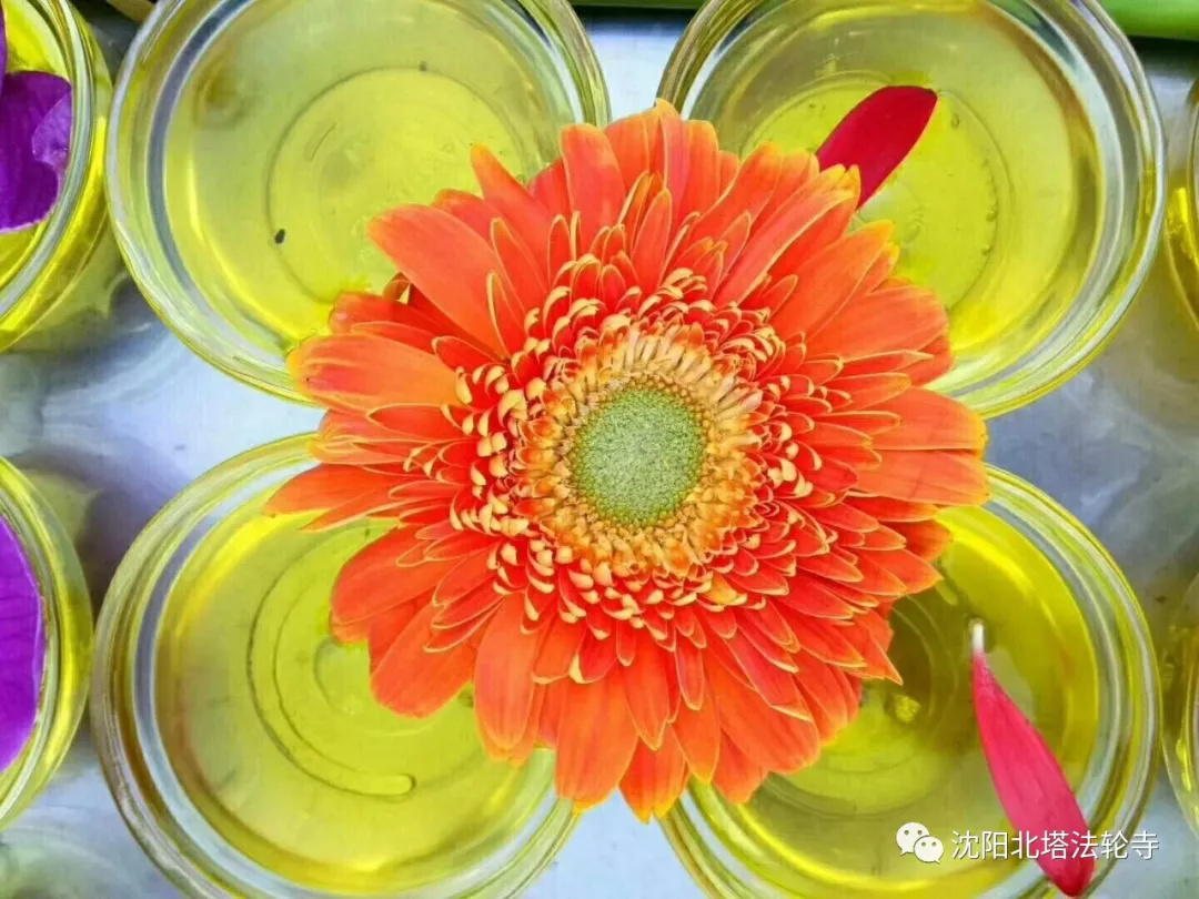 八功德水怎么求（八功德水的8種表意）