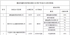 股份有限公司注冊資本規定（股份有限公司注冊資本最低限額）