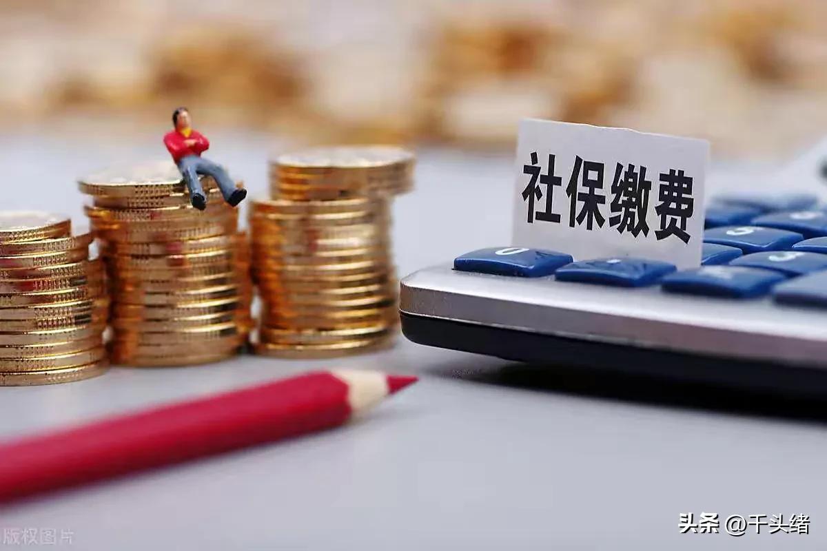 補繳社保需要什么材料(社保可以補繳嗎)