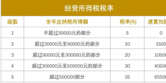 年利潤100萬要交多少稅(100萬交多少企業所得稅)