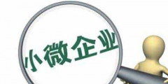 小型企業如何認定(小微企業認定標準及優惠政策)