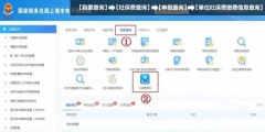 公司交的醫保怎么查詢(企業醫保繳費明細查詢)