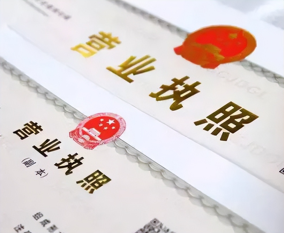 申請(qǐng)執(zhí)照副本數(shù)量怎么填寫(公司登記備案申請(qǐng)書模板)