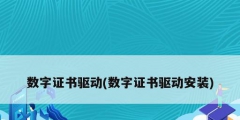 數字證書驅動(數字證書驅動安裝)