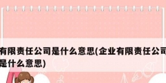 有限責任公司是什么意思(企業有限責任公司是什么意思)