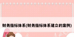 財務指標體系(財務指標體系建立的案例)