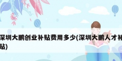 深圳大鵬創業補貼費用多少(深圳大鵬人才補貼)