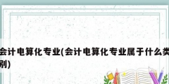 會計電算化專業(會計電算化專業屬于什么類別)