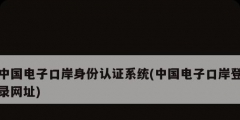 中國電子口岸身份認證系統(中國電子口岸登錄網址)