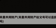 夫妻共同財產(夫妻共同財產給父母可以追回嗎)