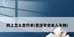 網上怎么查罰單(查違章非本人車輛)
