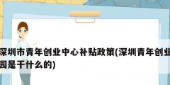 深圳市青年創業中心補貼政策(深圳青年創業園是干什么的)
