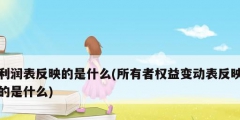 利潤表反映的是什么(所有者權益變動表反映的是什么)
