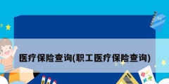 醫療保險查詢(職工醫療保險查詢)