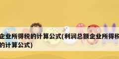 企業所得稅的計算公式(利潤總額企業所得稅的計算公式)