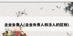 企業負責人(企業負責人和法人的區別)